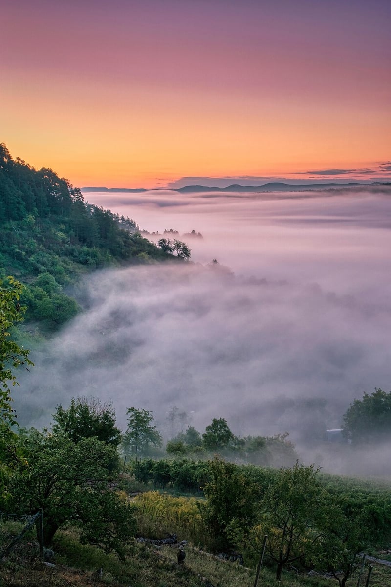 Fairytale Clearing